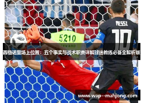西格诺里场上位置：五个事实与战术职责详解球迷教练必备全解析版