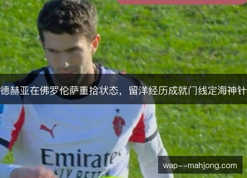 德赫亚在佛罗伦萨重拾状态,留洋经历成就门线定海神针 德赫亚在佛罗伦萨重拾状态,留洋经历成就门线定海神针